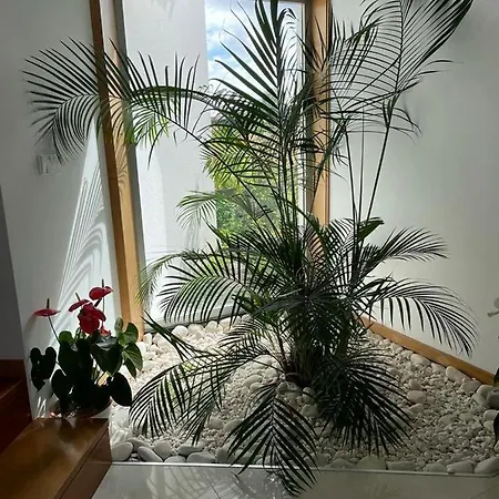 Casaanabela Повуа-ди-Варзин