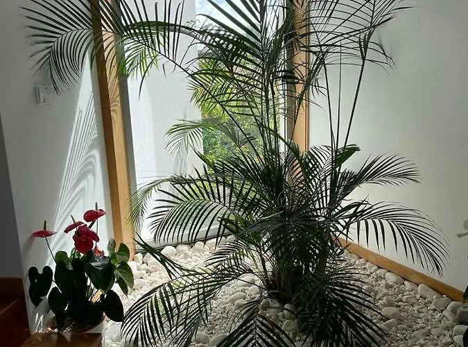 Casaanabela Póvoa de Varzim